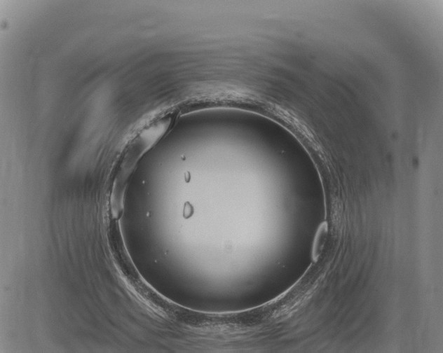 X0000084600629200703021626