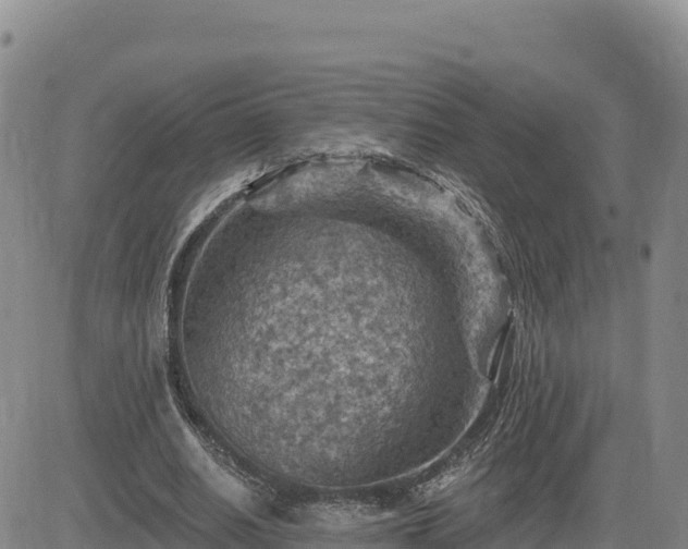 X0000084600630200703021626