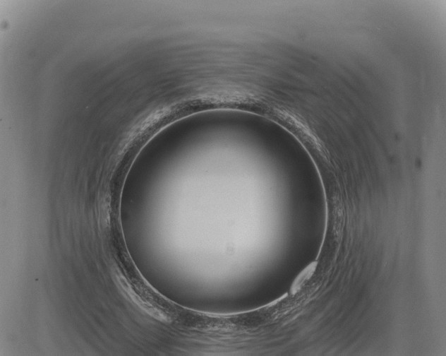 X0000084600631200703021626