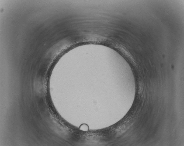 X0000084600632200703021626