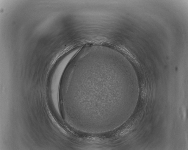 X0000084600634200703021626