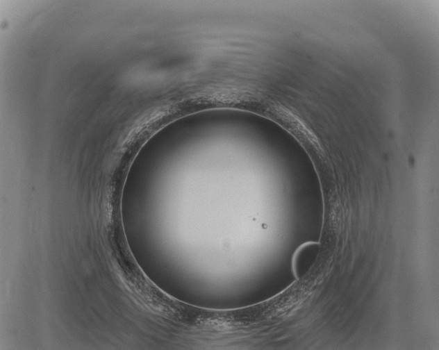 X0000084600635200703021627