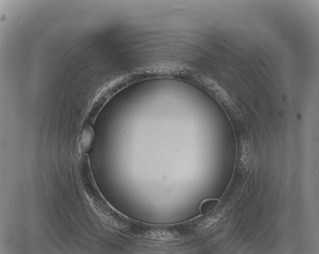 X0000084600636200703021627