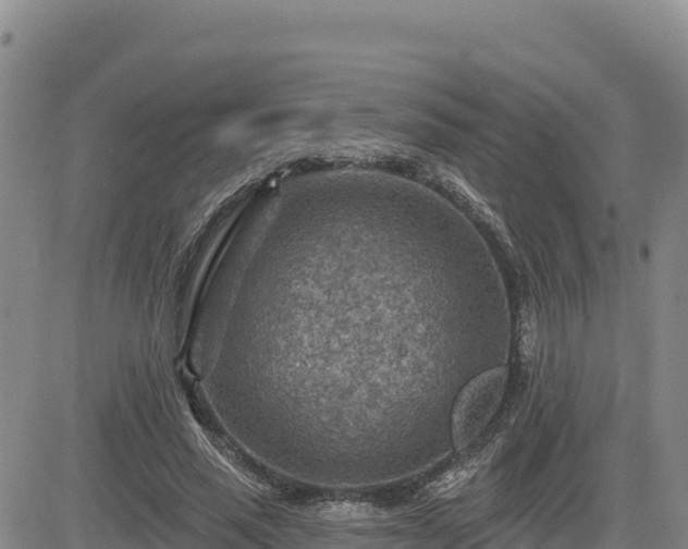 X0000084600637200703021627