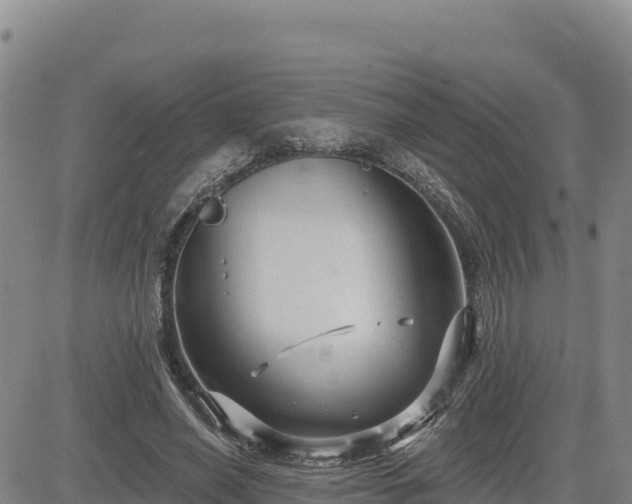 X0000084600638200703021627