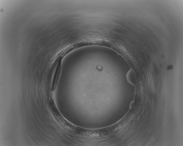 X0000084600640200703021627