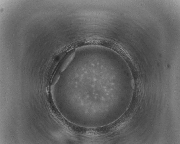 X0000084600641200703021627