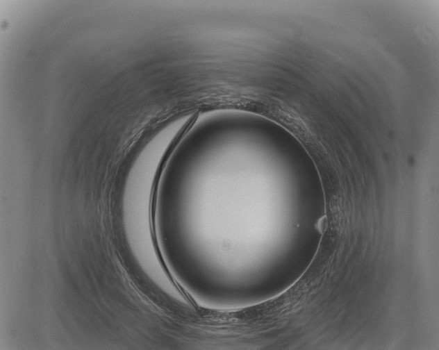 X0000084600642200703021627