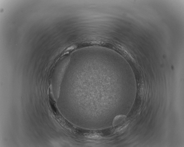 X0000084600643200703021627