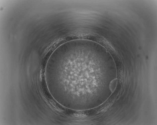 X0000084600644200703021627