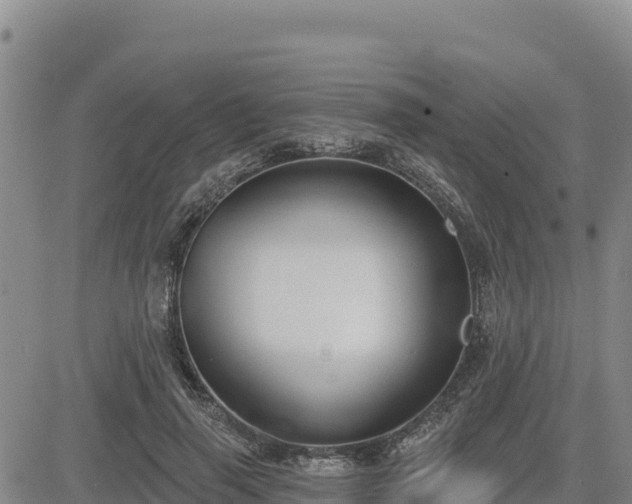 X0000084600645200703021627