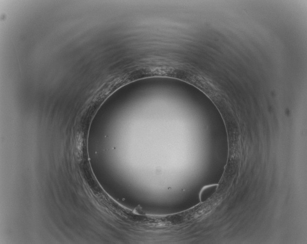 X0000084600646200703021627