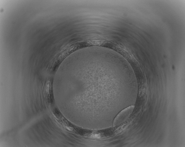 X0000084600647200703021627