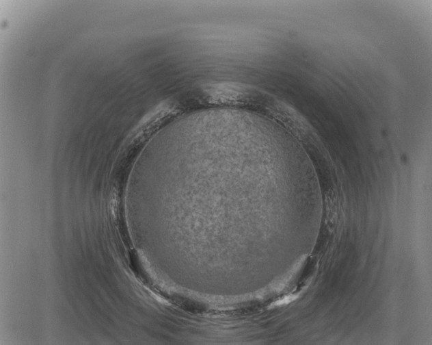 X0000084600648200703021627