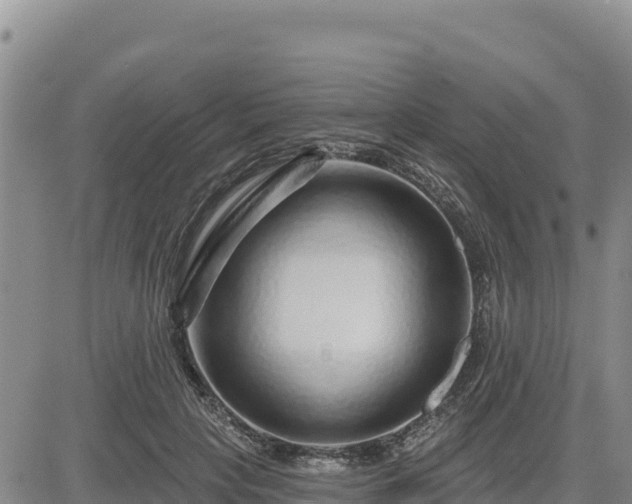 X0000084600649200703021627