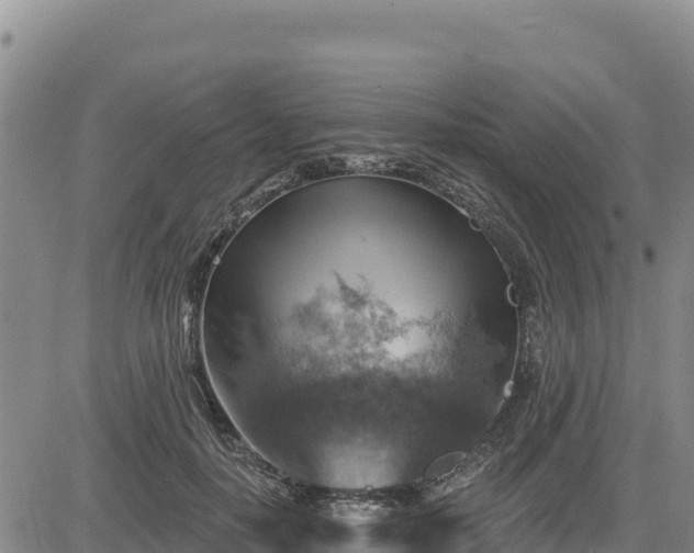 X0000084600650200703021627