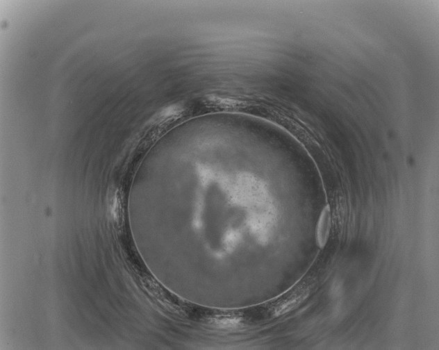 X0000084600651200703021627