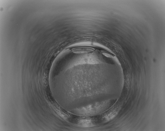 X0000084600653200703021627