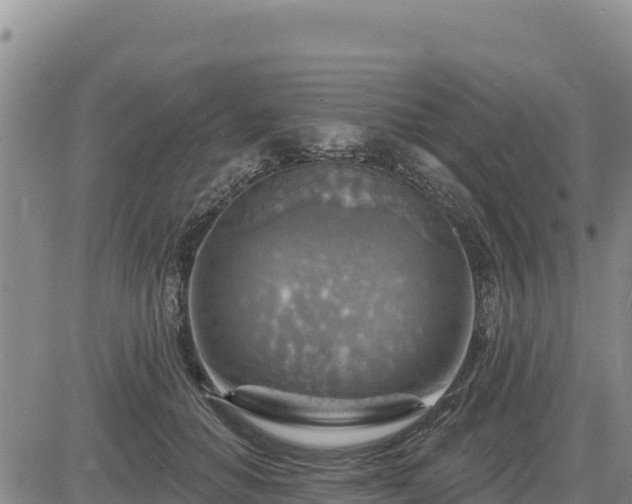 X0000084600654200703021627