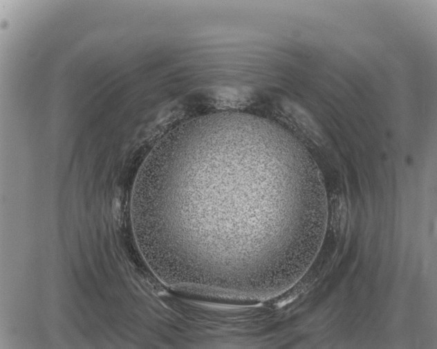 X0000084600655200703021627