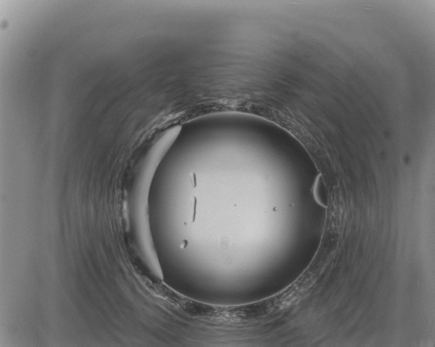 X0000084600656200703021627