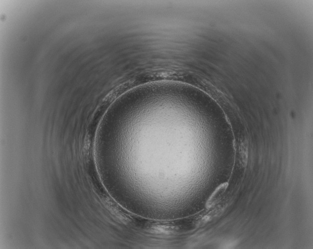 X0000084600657200703021627