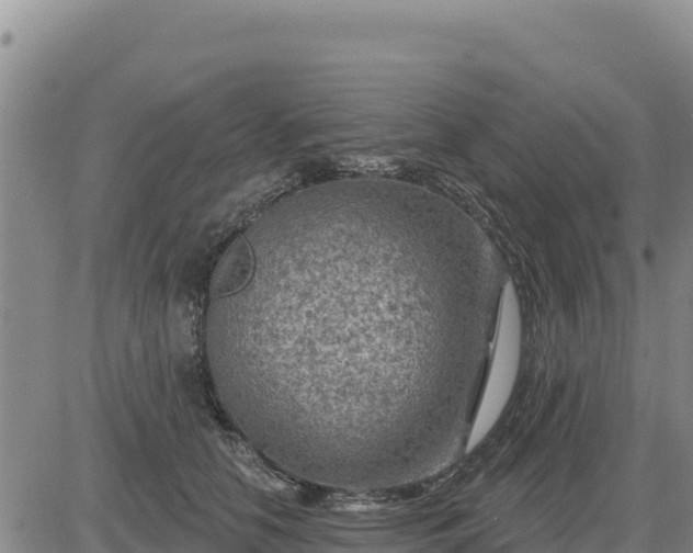 X0000084600658200703021627