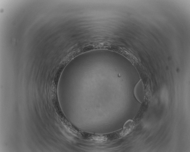 X0000084600659200703021627