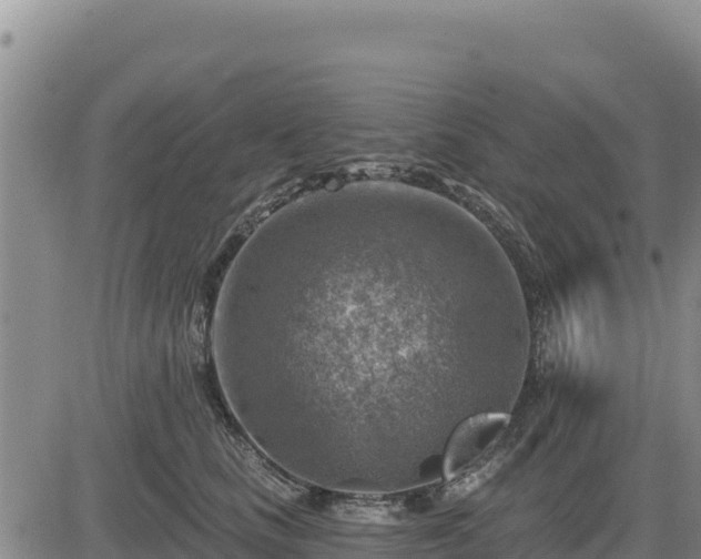 X0000084600661200703021627