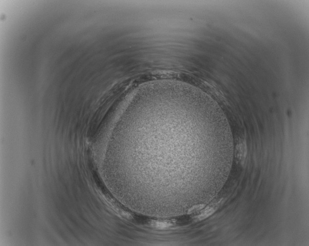 X0000084600662200703021627