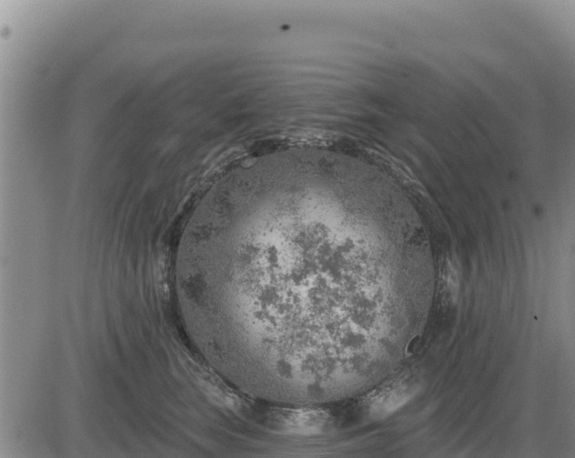 X0000084600663200703021627