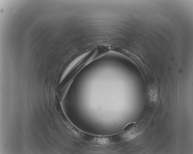 X0000084600665200703021627