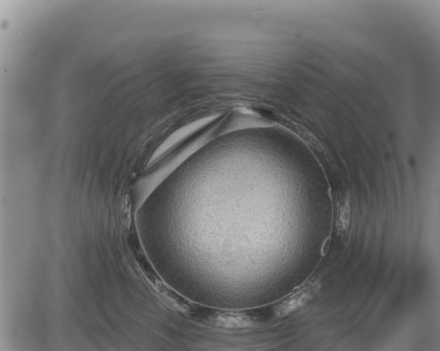 X0000084600666200703021627