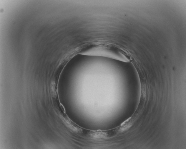 X0000084600670200703021627