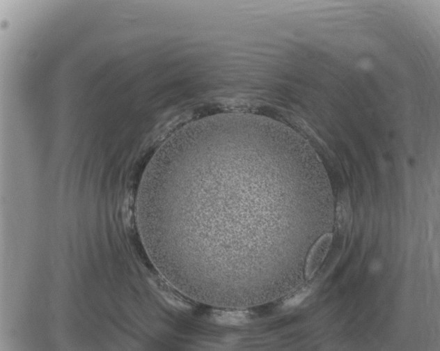 X0000084600671200703021627