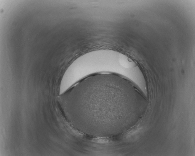 X0000084600672200703021627