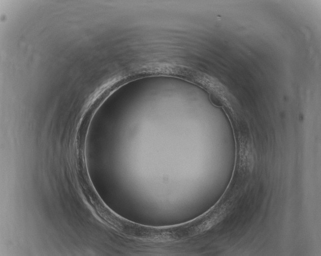 X0000084600674200703021626