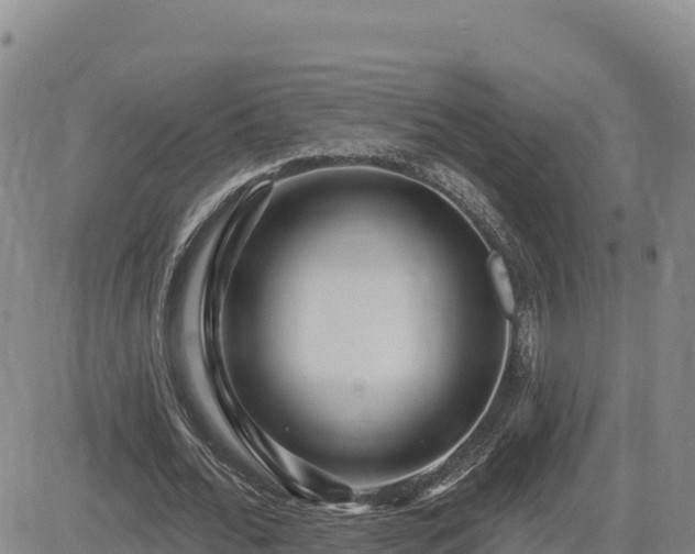 X0000084600676200703021626