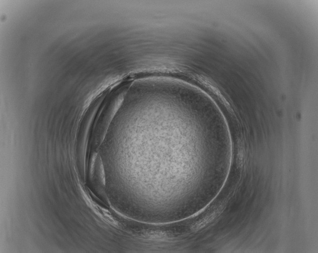 X0000084600677200703021626