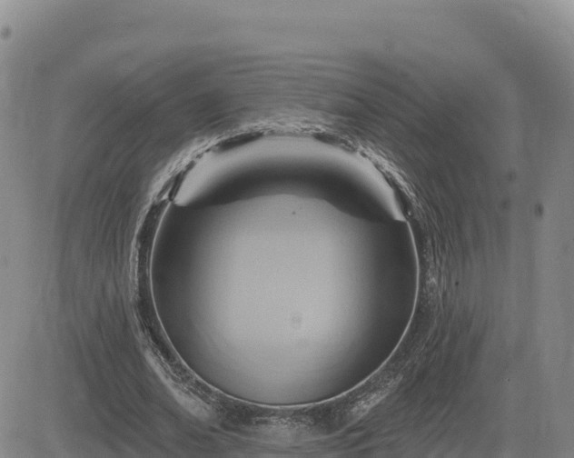 X0000084600678200703021626