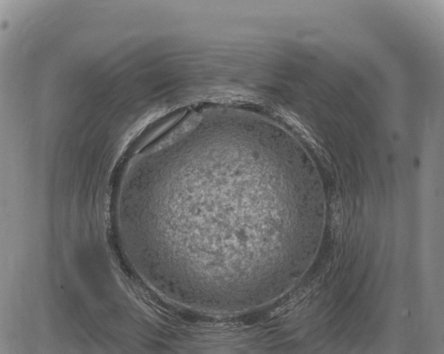 X0000084600679200703021626