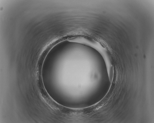 X0000084600680200703021626