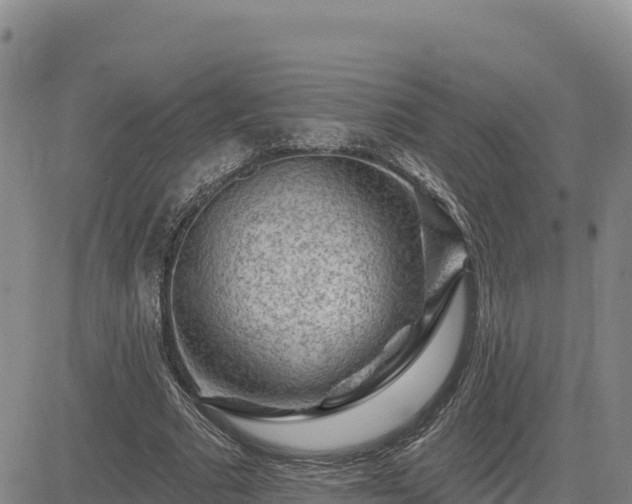 X0000084600681200703021626