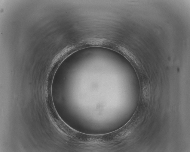 X0000084600682200703021626