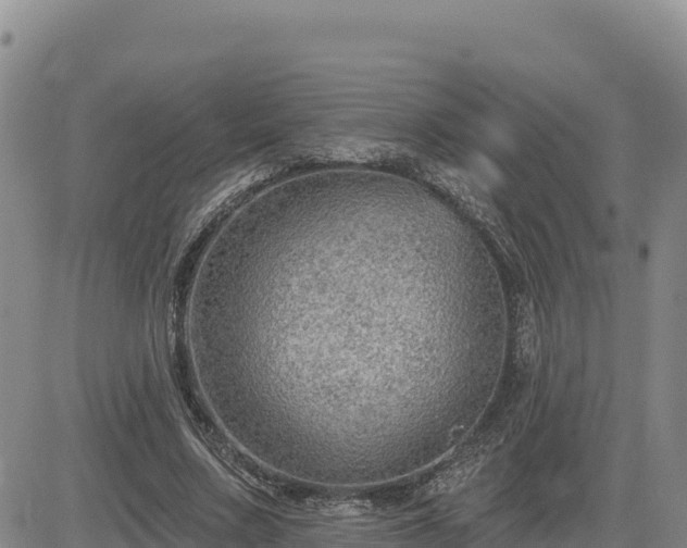 X0000084600683200703021626