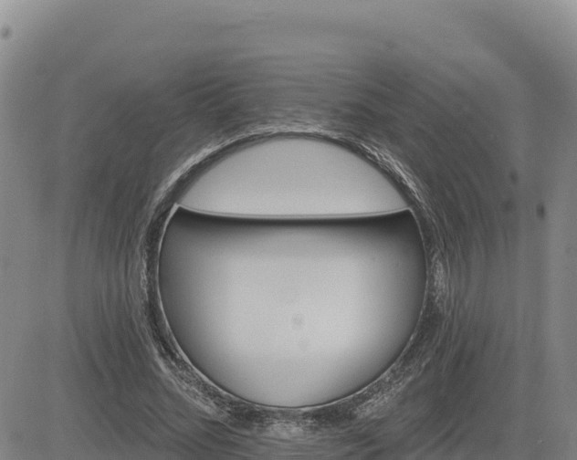 X0000084600684200703021626