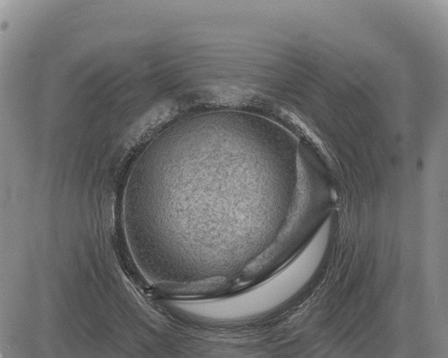 X0000084600685200703021626