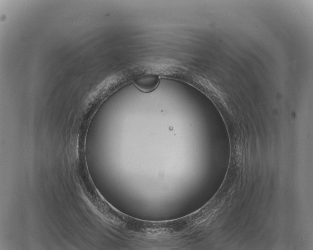 X0000084600686200703021626