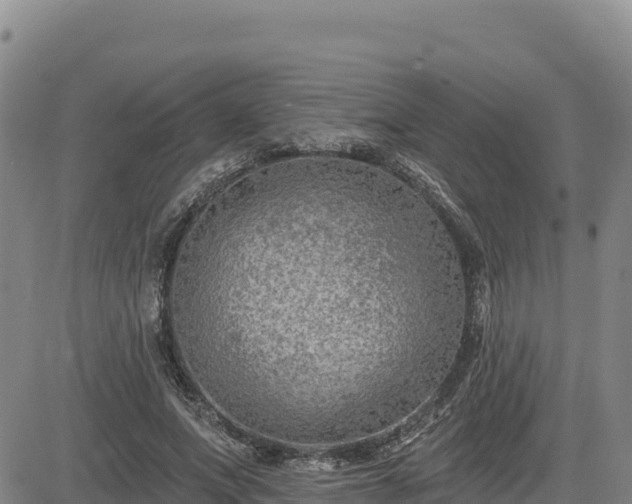 X0000084600687200703021626