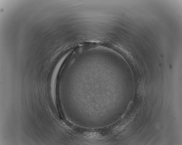 X0000084600689200703021626